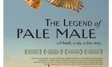 The Legend of Pale Male Movie Font